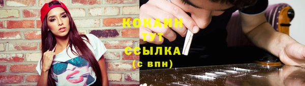 ГАЛЛЮЦИНОГЕННЫЕ ГРИБЫ Майский