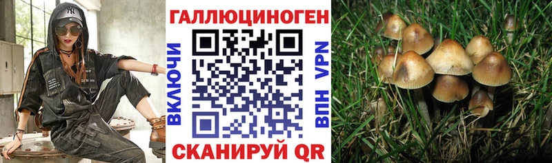 Купить  Ува  Галлюциногенные грибы Magic Shrooms 